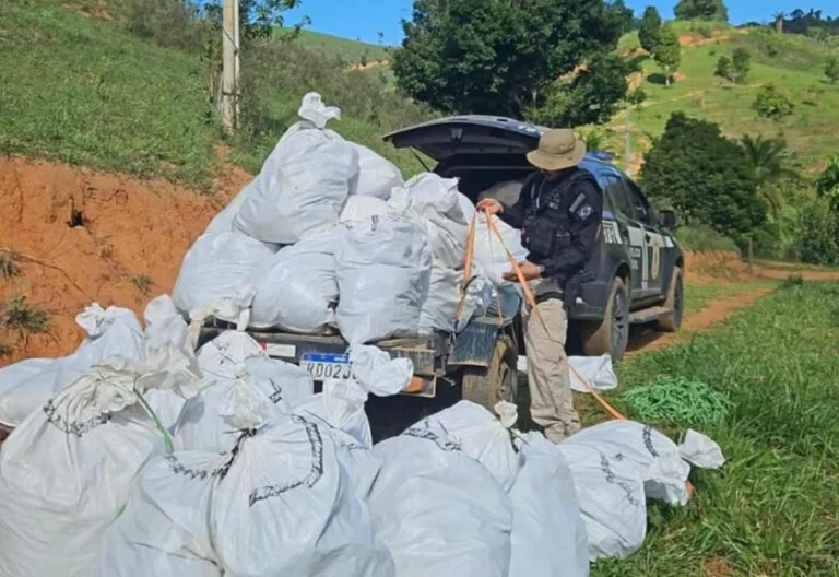 Operação Amordaçar da Polícia Civil