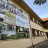 Rio Grande do Sul - gripe aviária
