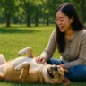O que significa quando o cachorro se deita de barriga para cima