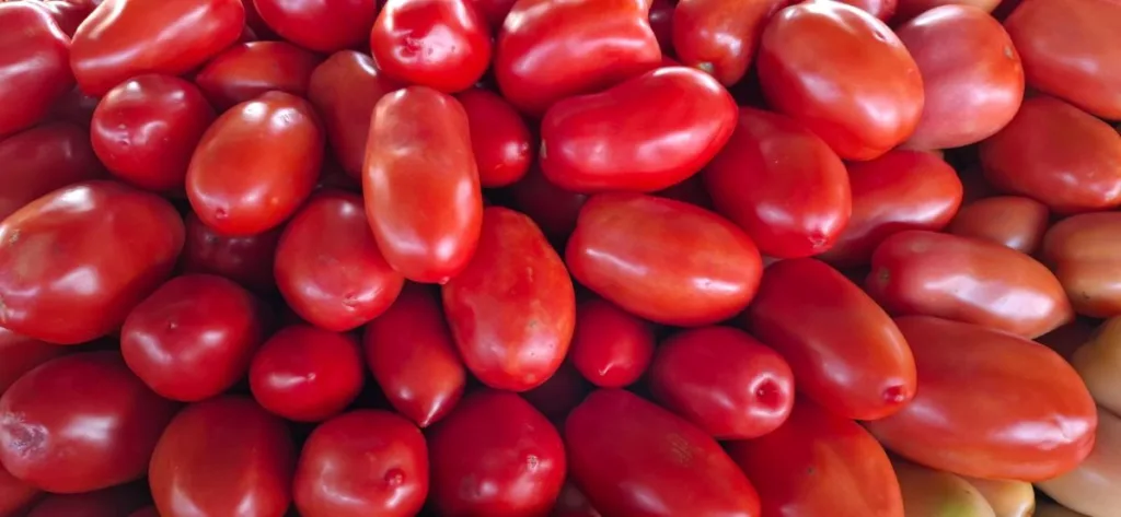Preço do maracujá, tomate e hortaliças sofre reajuste na Feirinha da Estação Nova