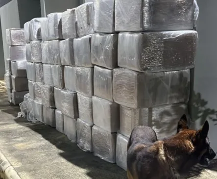 polícia intercepta cerca de 3 toneladas de maconha
