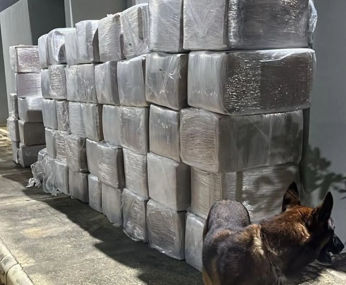 polícia intercepta cerca de 3 toneladas de maconha