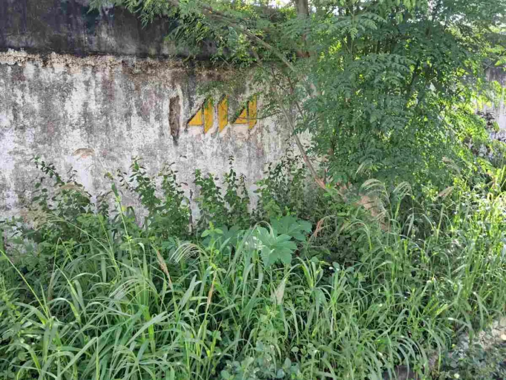 Terreno Baldio