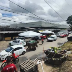 Centro de Abastecimento terá funcionamento especial para atender demanda junina