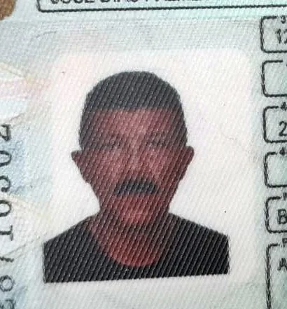 José Dias Palmeira