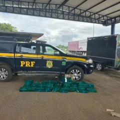 PRF apreende 132 kg de drogas e fuzil na BR-116