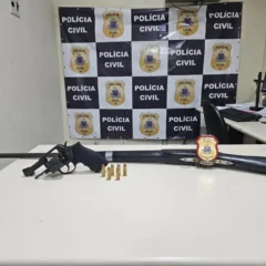 Armas Apreendidas
