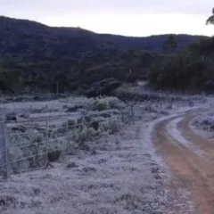 Fenômeno raro, neve no Brasil já atingiu ao menos quatro estados e bateu recorde de 2 metros