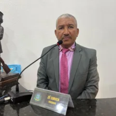 Zé Curuca