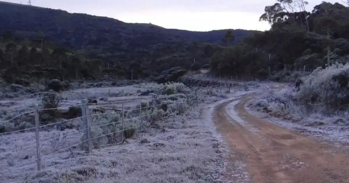 Fenômeno raro, neve no Brasil já atingiu ao menos quatro estados e bateu recorde de 2 metros