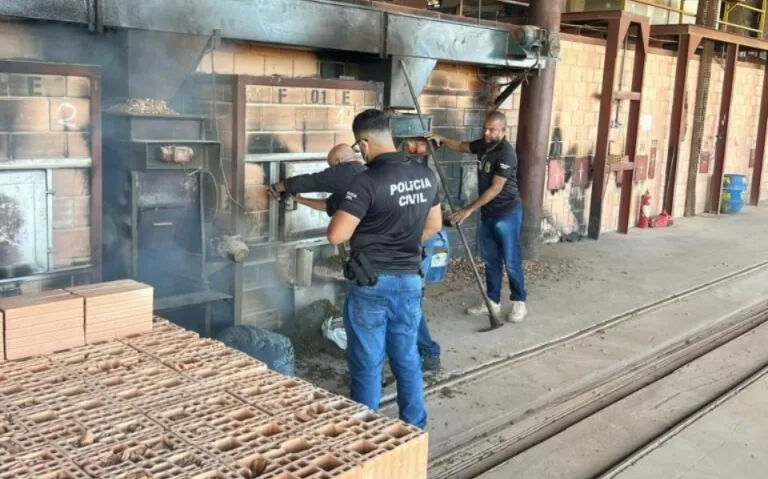 Incineração de Drogas