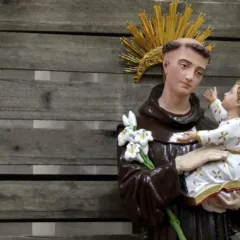 Por que te procuram?