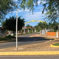 Prefeitura de Macaúbas sanciona lei para controle e proteção de cães e gatos no município