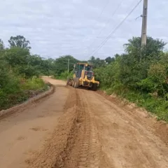 Prefeitura de Feira retoma patrolamento de estradas nos distritos