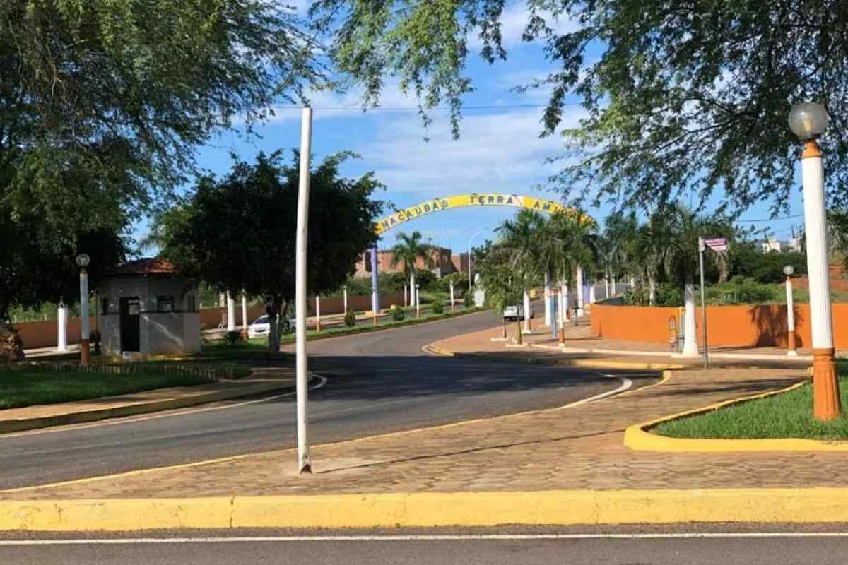 Prefeitura de Macaúbas sanciona lei para controle e proteção de cães e gatos no município