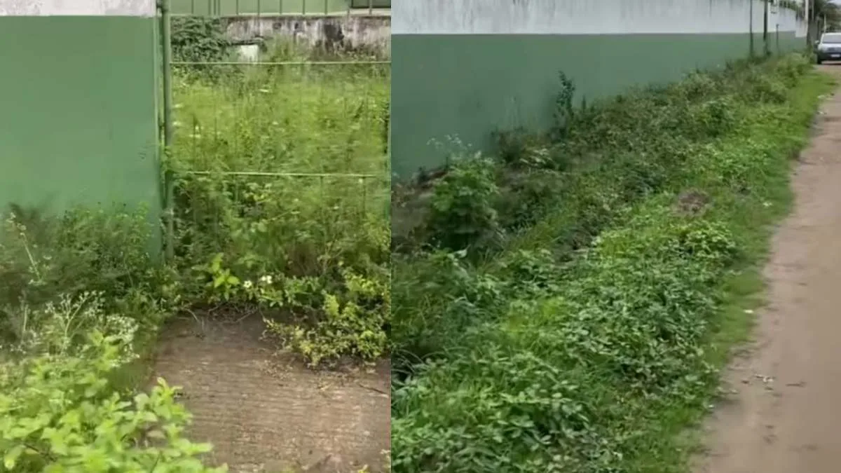 Uma grande cidade com muitos problemas; confira os flagrantes comunitários