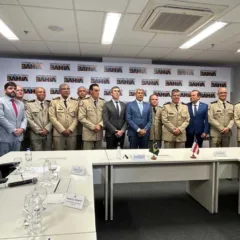 Novos Coronéis