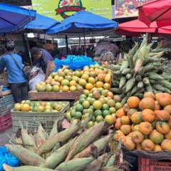 Compras para o São João no Centro de Abastecimento