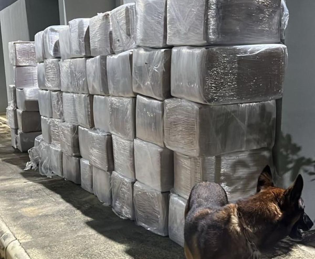 polícia intercepta cerca de 3 toneladas de maconha