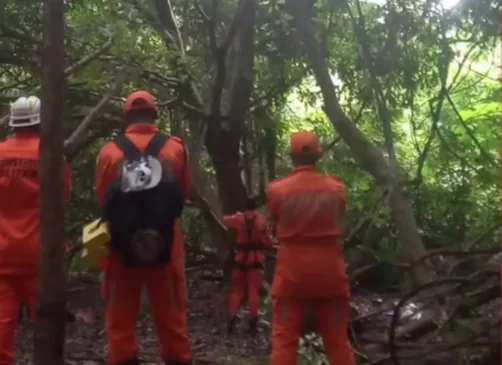 homem em surto em cima de árvore