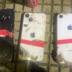 celulares furtados