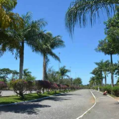 Parque da Lagoa e Parque da Cidade estarão fechados durante festejos de São João