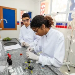 Inscrições para cursos técnicos gratuitos da rede estadual são prorrogadas