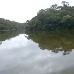 Operação com drone aquático busca corpos de vítimas de duplo homicídio em ferro-velho