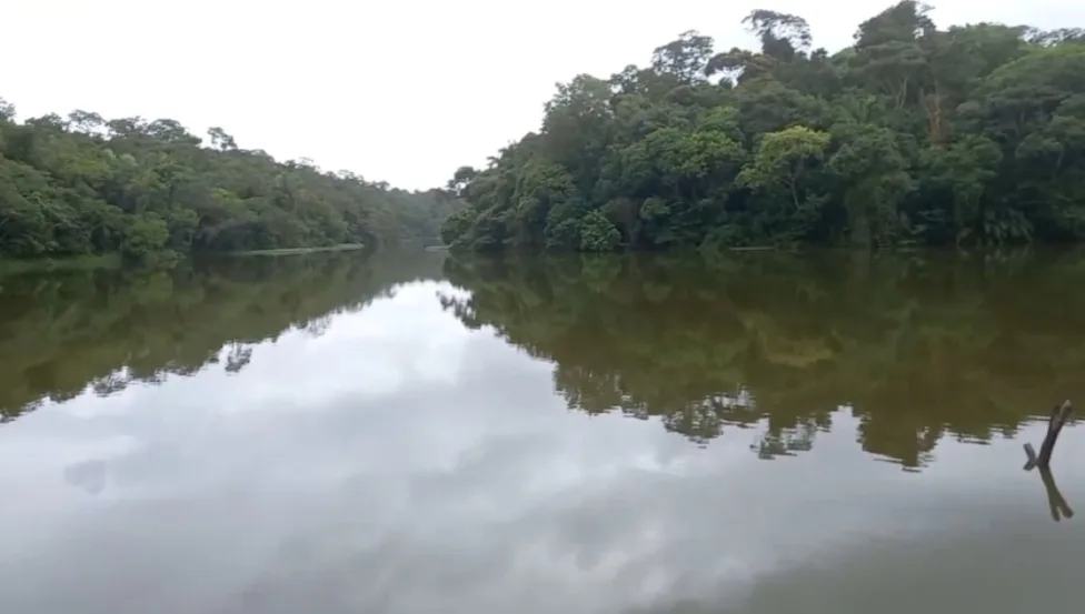 Operação com drone aquático busca corpos de vítimas de duplo homicídio em ferro-velho