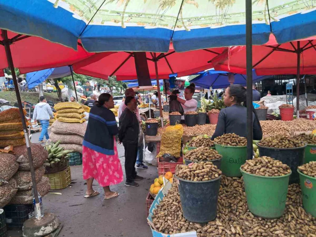 Compras para o São João no Centro de Abastecimento