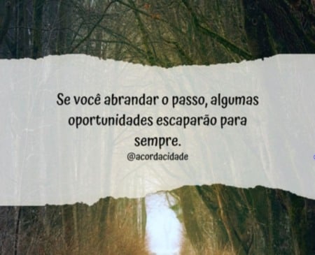 Mensagem do Dia