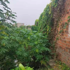 Moradores do bairro Tomba reclama de rachaduras causadas por córrego de esgoto