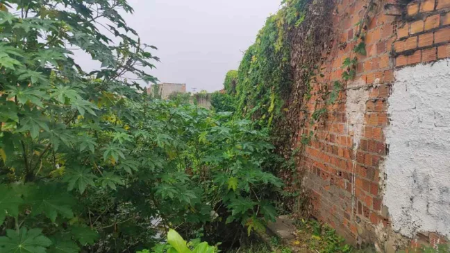 Moradores do bairro Tomba reclama de rachaduras causadas por córrego de esgoto