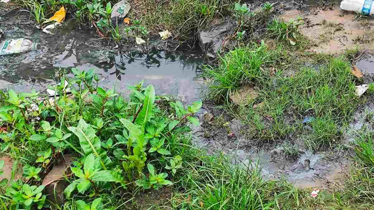 Moradores reclamam de esgoto a céu aberto em rua do bairro Conceição
