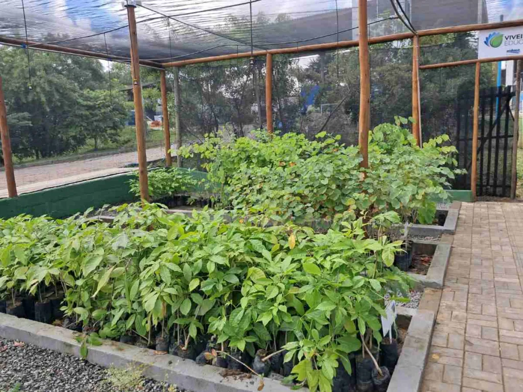 Viveiro Educador da Embasa