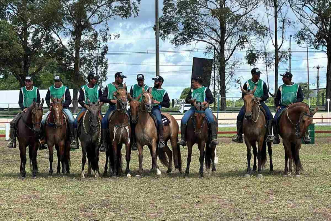 Feira de Santana sedia Expo Portal da Marcha e Brasileira de Campolina