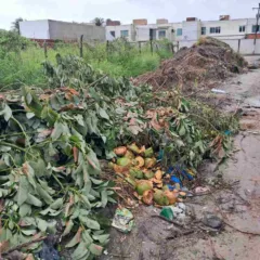 Moradores do Parque Centauro reclamam de rua interditada por entulho e lixo