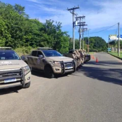 Operação da Polícia Militar