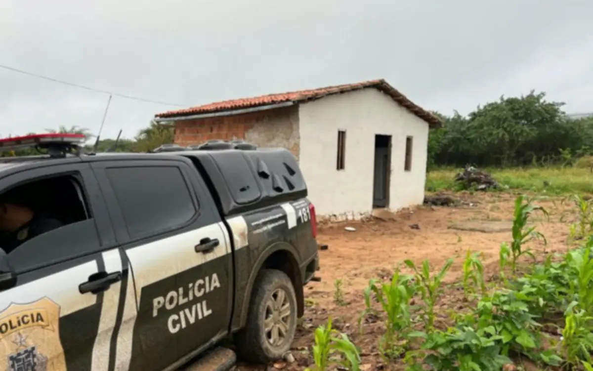Apreensão de pés de maconha em Araci - PC
