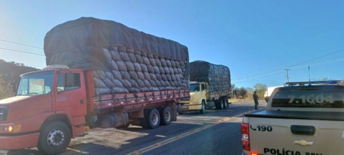 Carga ilegal com 1.800 sacos de carvão vegetal é aprendida pela PM