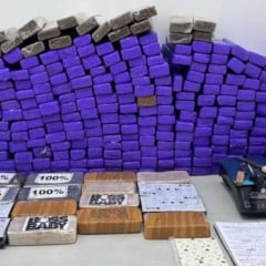 Cerca de 11 toneladas de drogas foram apreendidas no primeiro semestre na Bahia