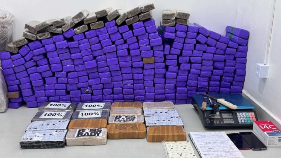 Cerca de 11 toneladas de drogas foram apreendidas no primeiro semestre na Bahia