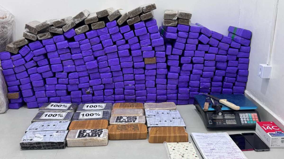 Cerca de 11 toneladas de drogas foram apreendidas no primeiro semestre na Bahia