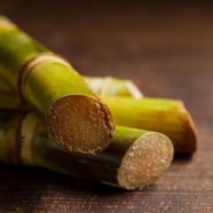 Estudantes criam vinagre artesanal feito com o caldo da cana