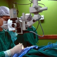 Exames são importantes para diagnóstico do câncer de intestino