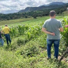 Fiscalização combate uso irregular de agrotóxicos com drones em propriedades rurais de Feira de Santana