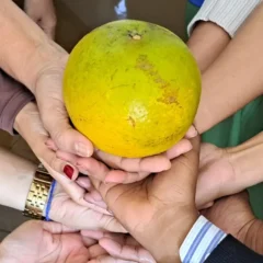 Laranja gigante de Santo Estevão