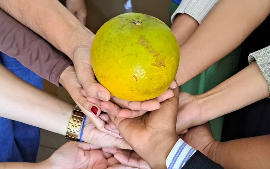 Laranja gigante de Santo Estevão