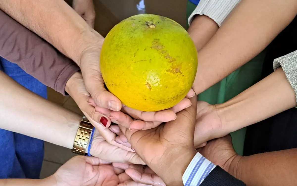 Laranja gigante de Santo Estevão
