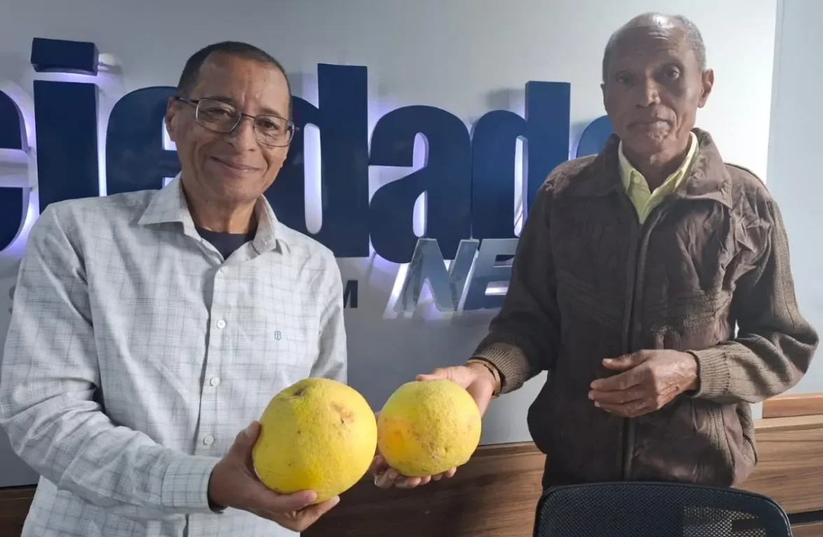 Laranja gigante de Santo Estevão